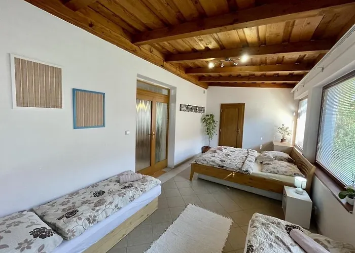 Апартаменты Kapina Sk - Homes *